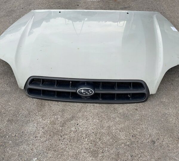 2000-2004 Subaru Legacy/Hood Panel