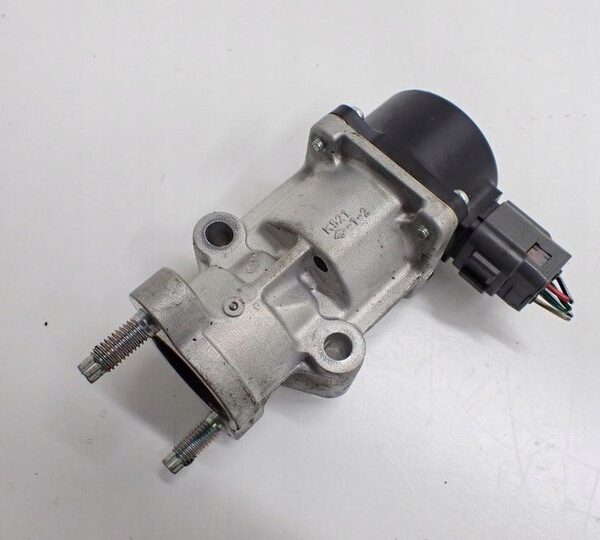 2019-2023 Subaru Forester/ Engine Valve/Exhaust