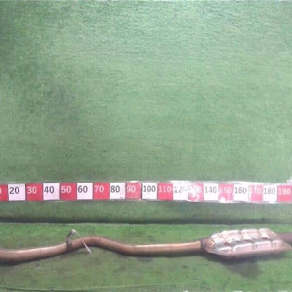 2017-2024 Subaru Impreza Exhaust Muffler /w Tips